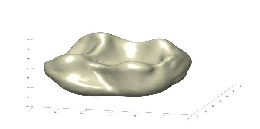 Reconstructed Tooth Surface