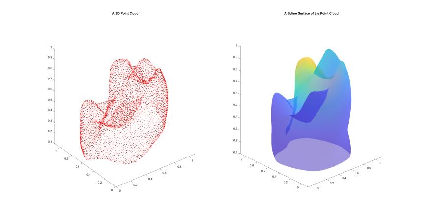 Saimiri Tooth Example 10